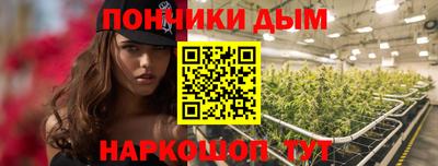 гашик Дубна