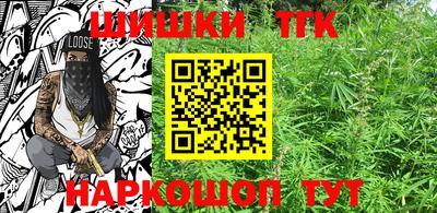 гашик Дубна