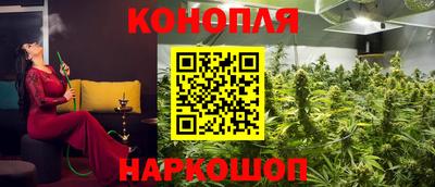 прущие грибы Донецк