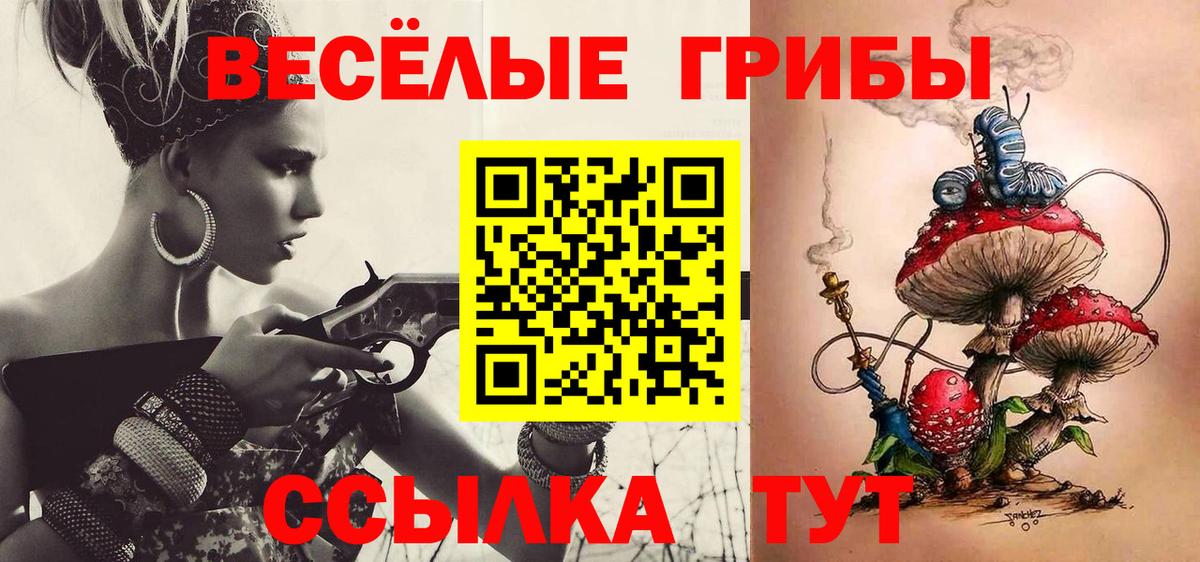 Каменск-Шахтинский  Псилоцибиновые грибы мухоморы  Вход с VPN 